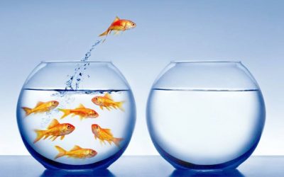 ¿Como aprovechar las oportunidades?